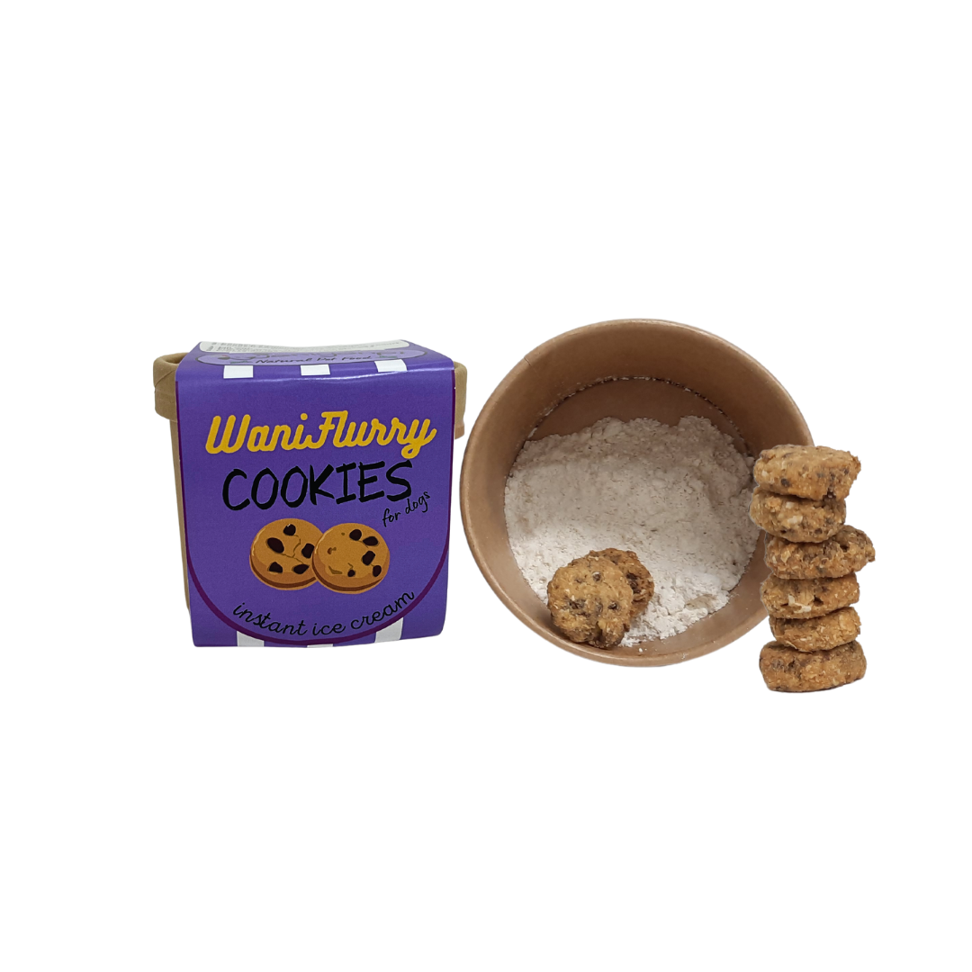 🍦 Crème Glacée aux cookies– Un moment givré de pur bonheur ! ❄️🐶