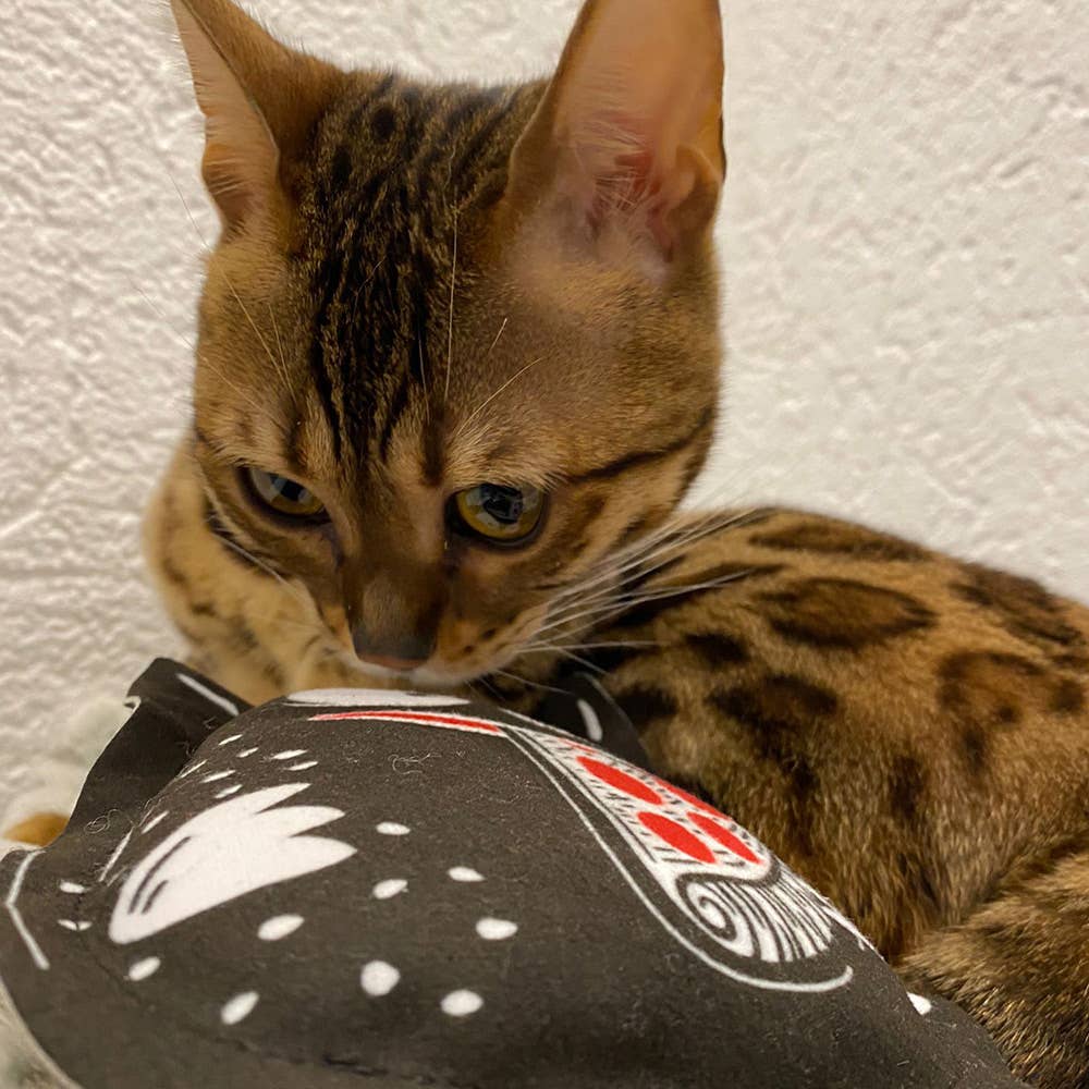 Coussin HERBE A CHAT - Crazy Coffee Cat