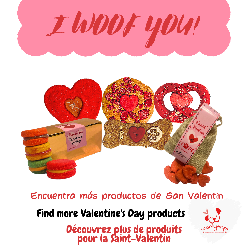 COOKIES de Saint-Valentin en vrac pour chiens