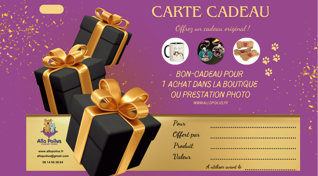 CARTE CADEAU Allo Poilus – Laissez le choix à ceux que vous aimez