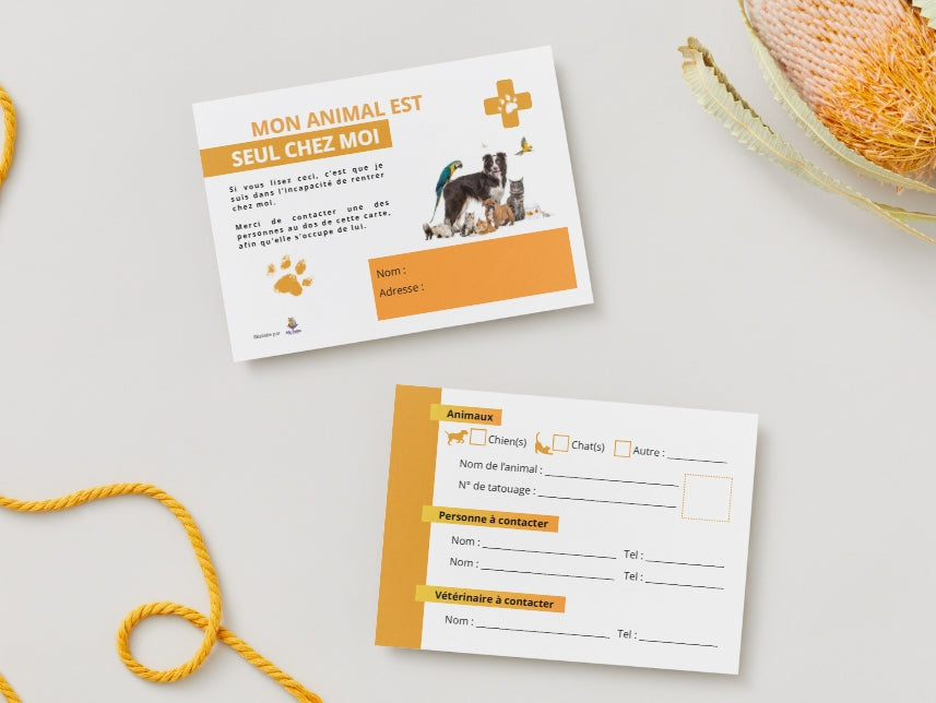 CARTE URGENCE Animale (Orange)