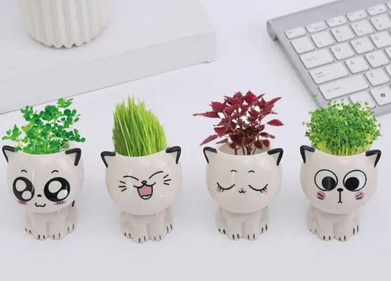 🐾 Mini Vase – Tête de Chat 🐱