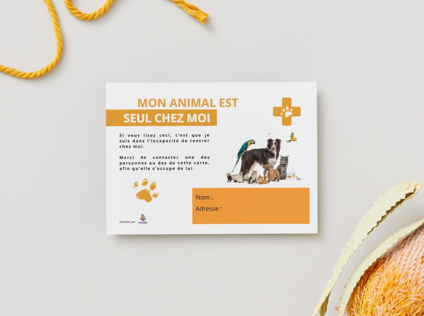 CARTE URGENCE Animale (Orange)