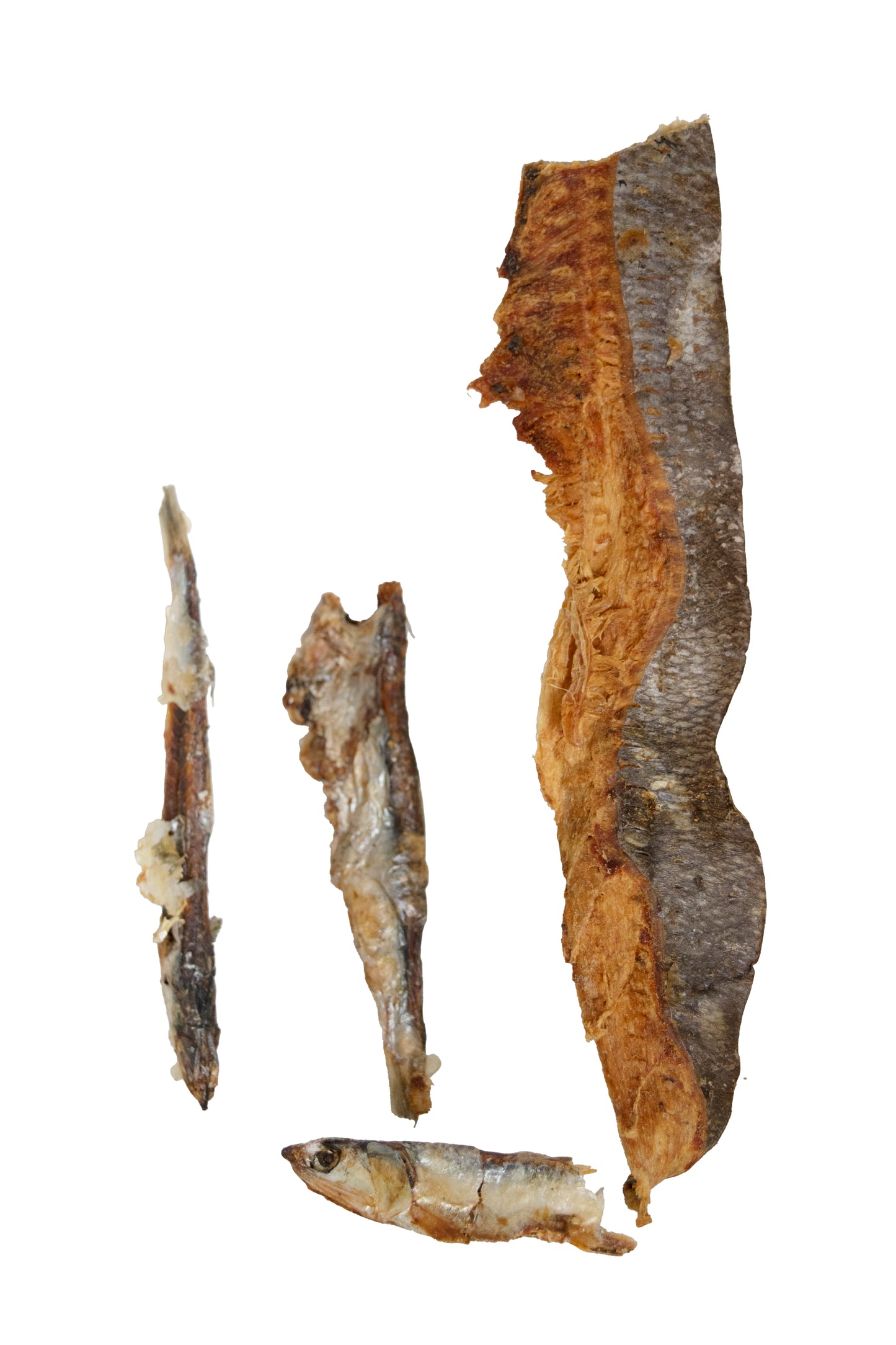 FISH FETISH pour chiens et chats (150 g)