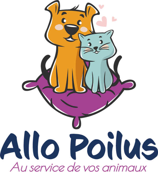 Allo Poilus
