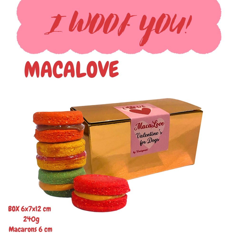 MACARONS pour chiens Saint-Valentin (Macalove)