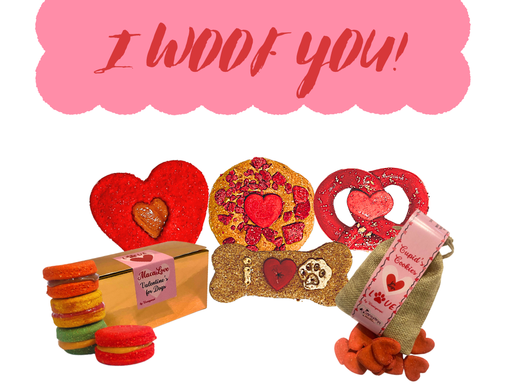 MACARONS pour chiens Saint-Valentin (Macalove)