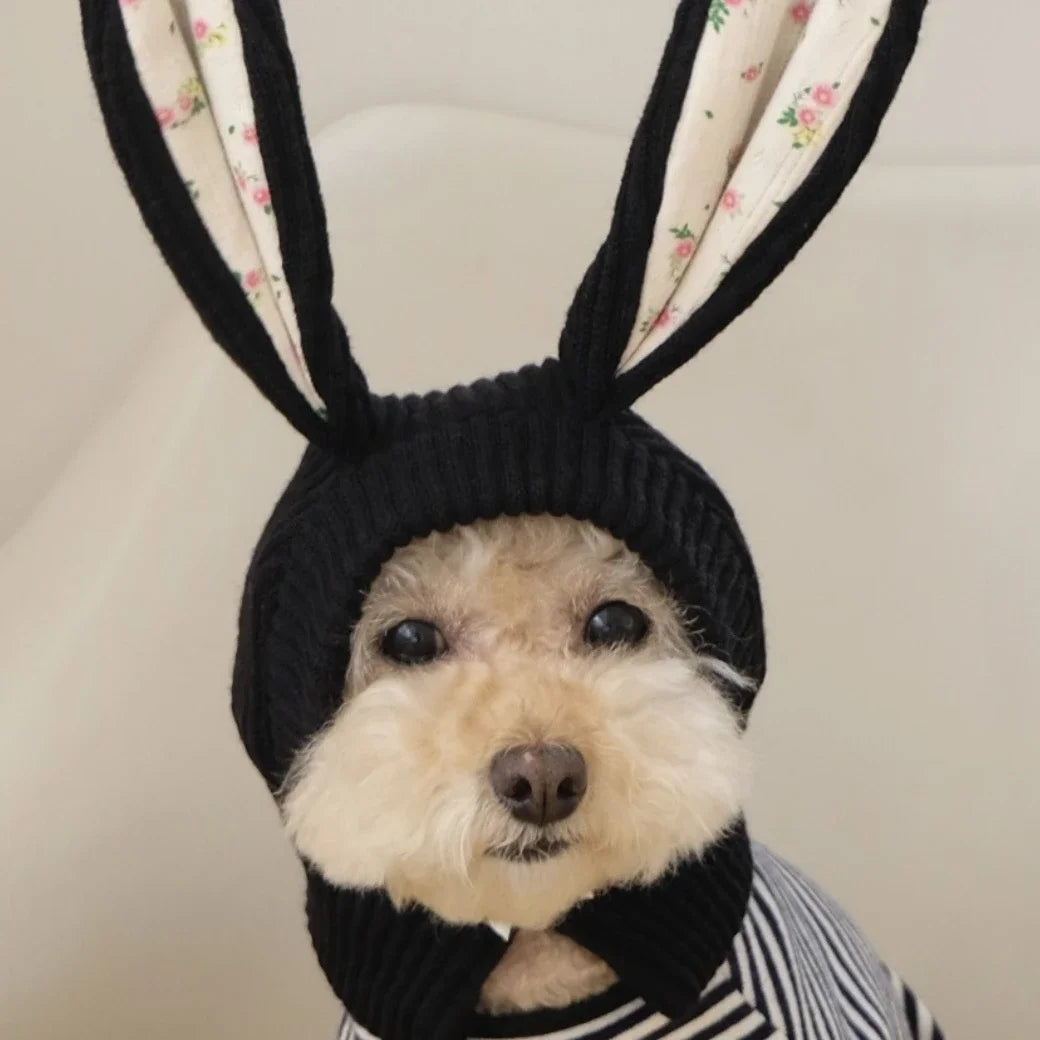 Chapeau à Oreilles de Lapin pour Animal de Compagnie