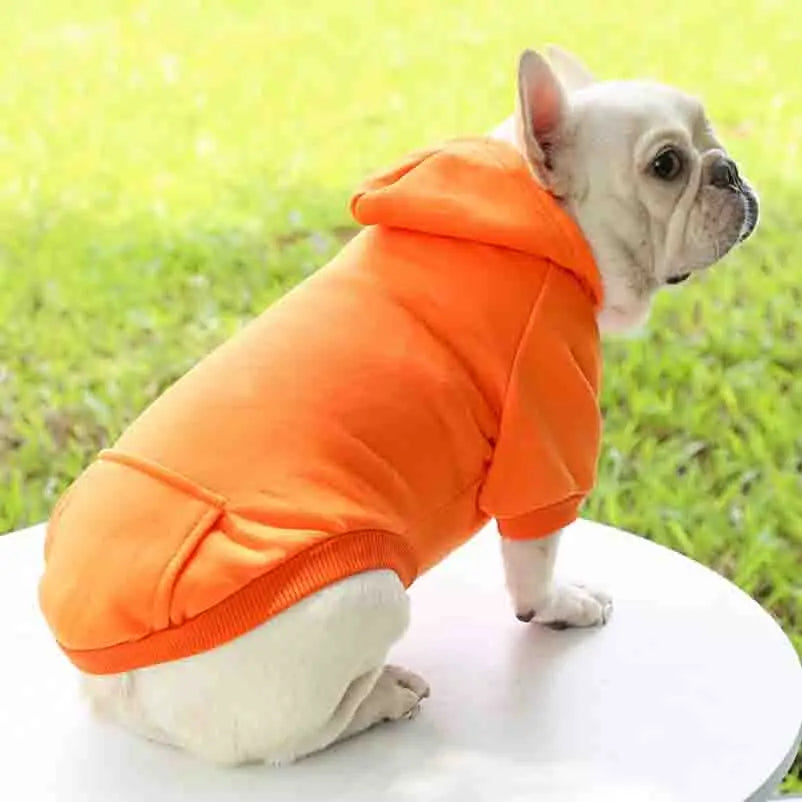 SWEAT à capuche pour chien, petit et moyen