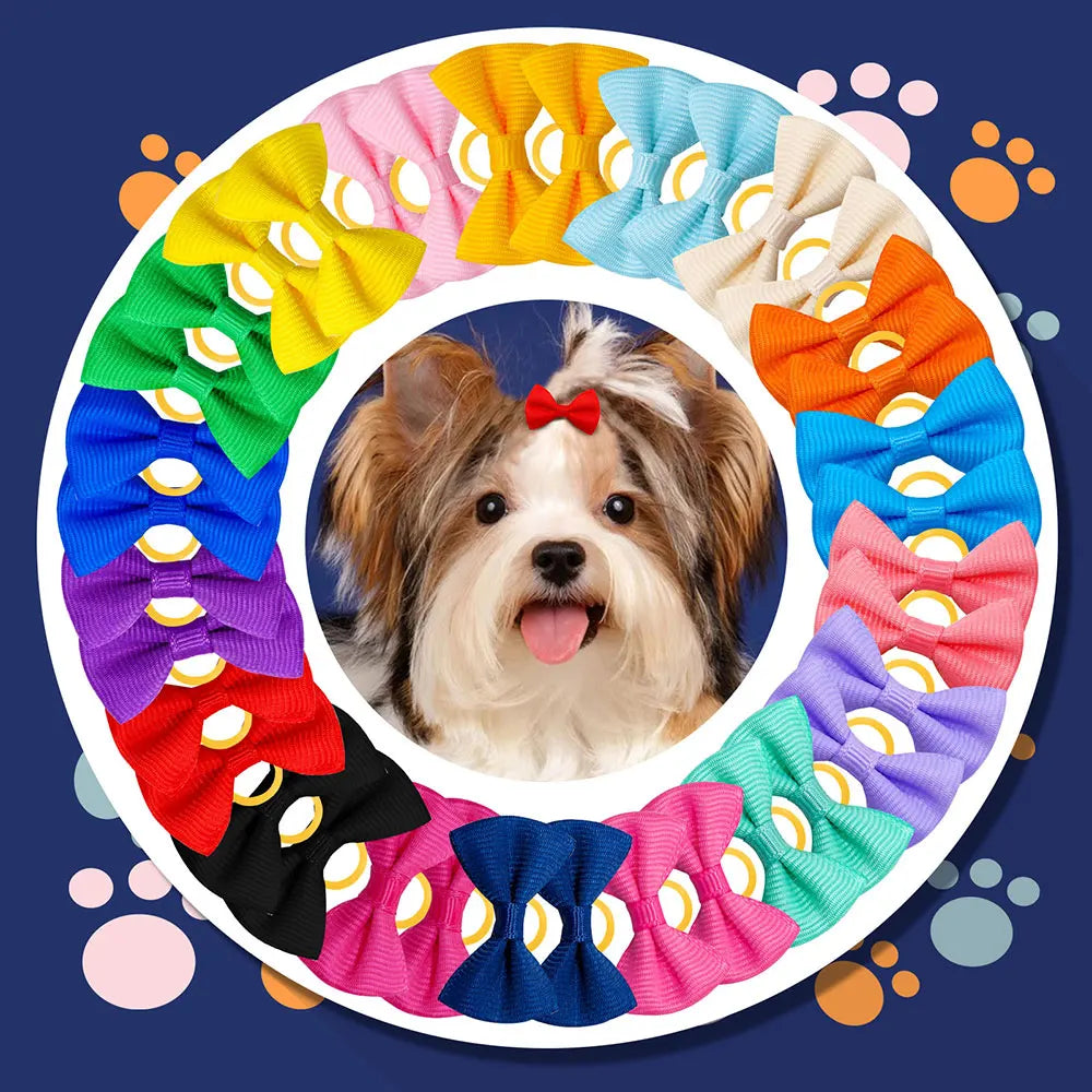 🎀 Nœuds de Toilettage Mignons – Lot de 10 / 20 / 30 pièces 🐶🐾