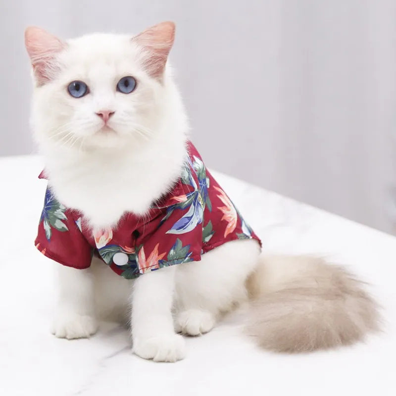 🌺🌴 Chemise Hawaïenne pour Chien et Chat pour une élégance tropicale de vos compagnons à quatre pattes !