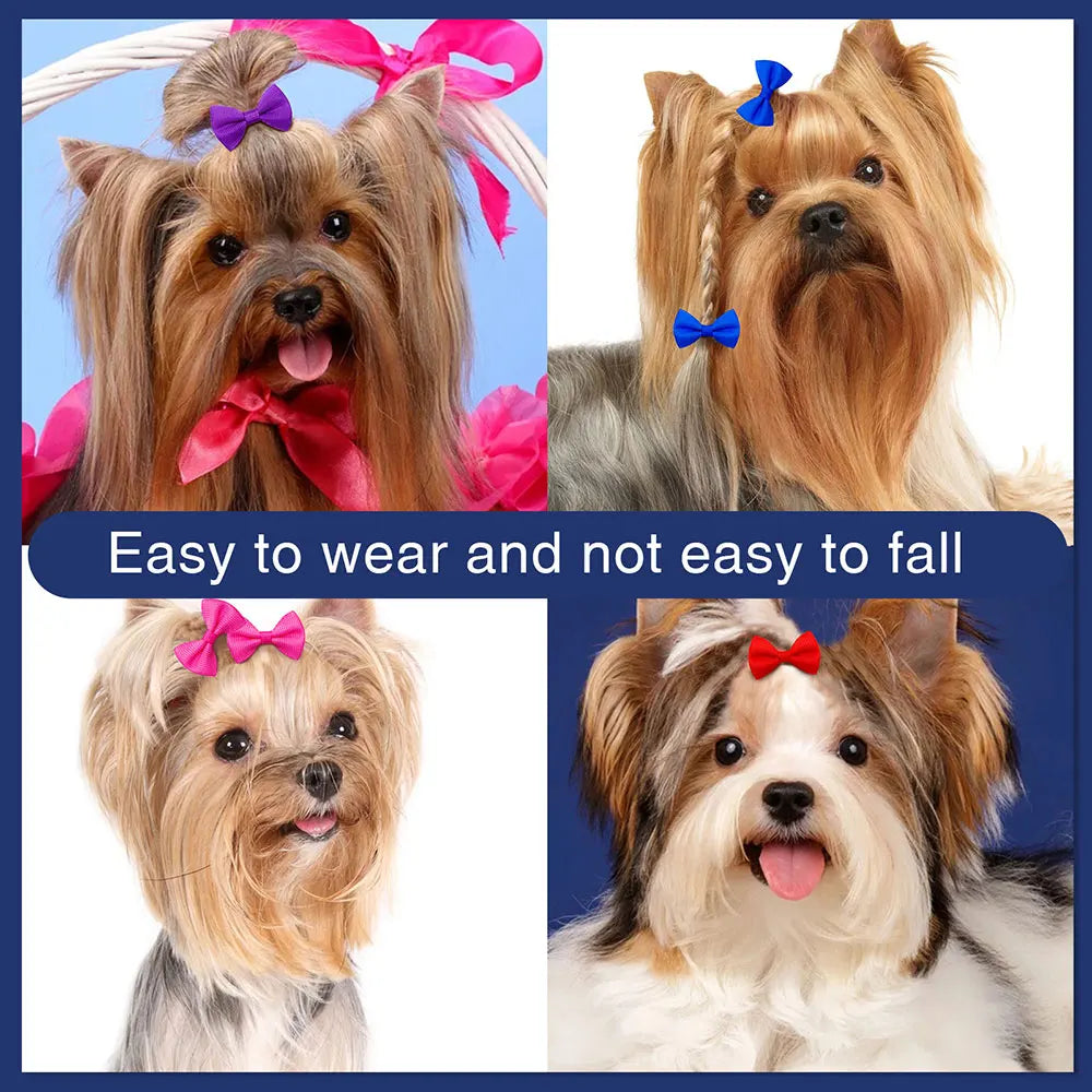 🎀 Nœuds de Toilettage Mignons – Lot de 10 / 20 / 30 pièces 🐶🐾
