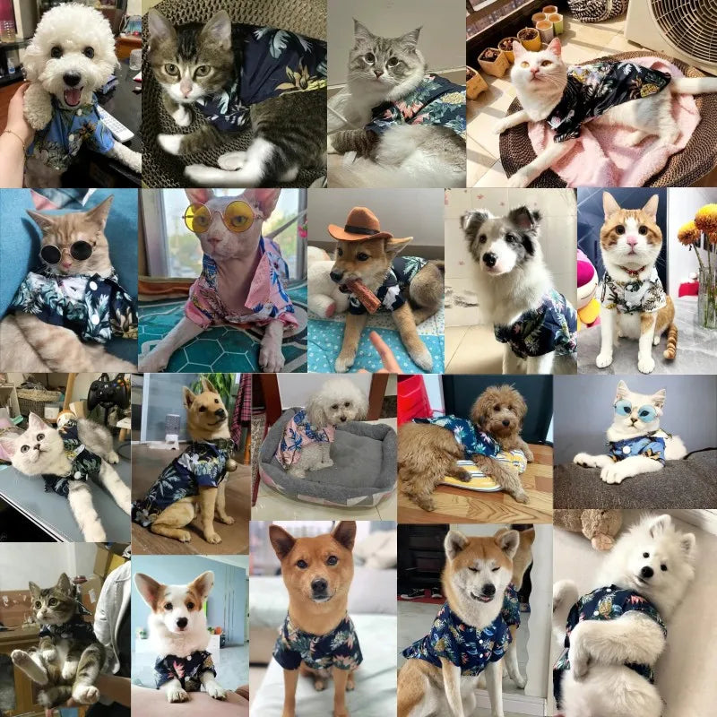 🌺🌴 Chemise Hawaïenne pour Chien et Chat pour une élégance tropicale de vos compagnons à quatre pattes !