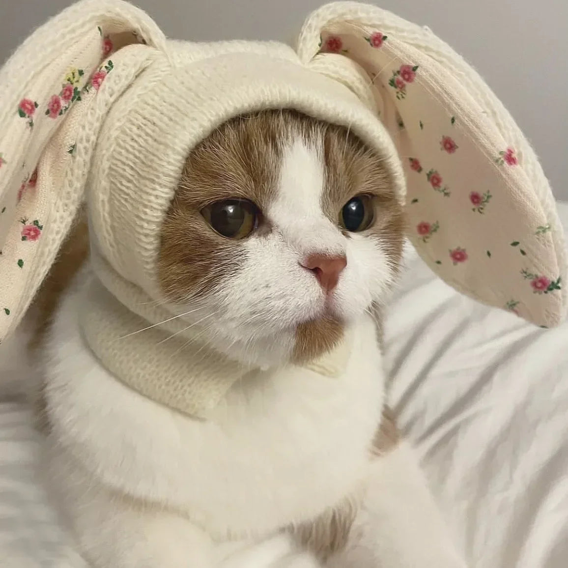 Chapeau à Oreilles de Lapin pour Animal de Compagnie