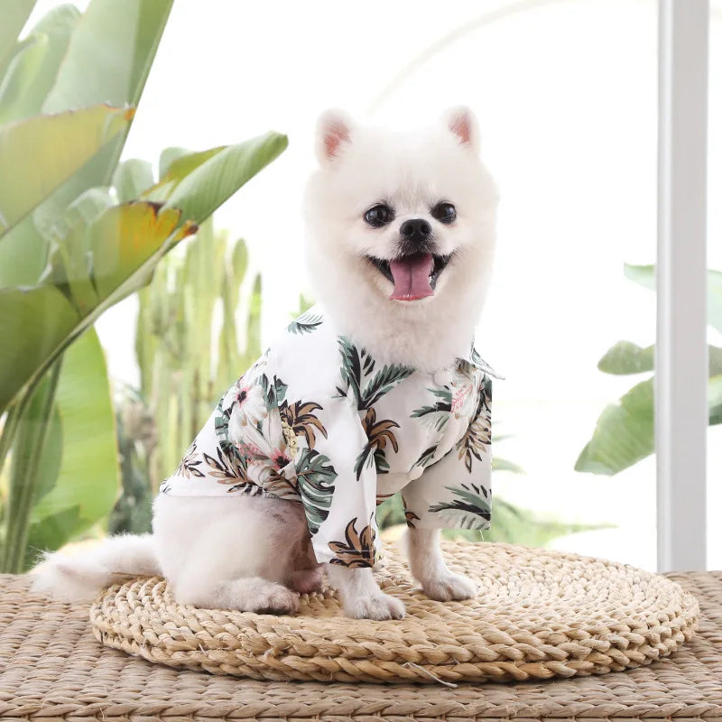 🌺🌴 Chemise Hawaïenne pour Chien et Chat pour une élégance tropicale de vos compagnons à quatre pattes !