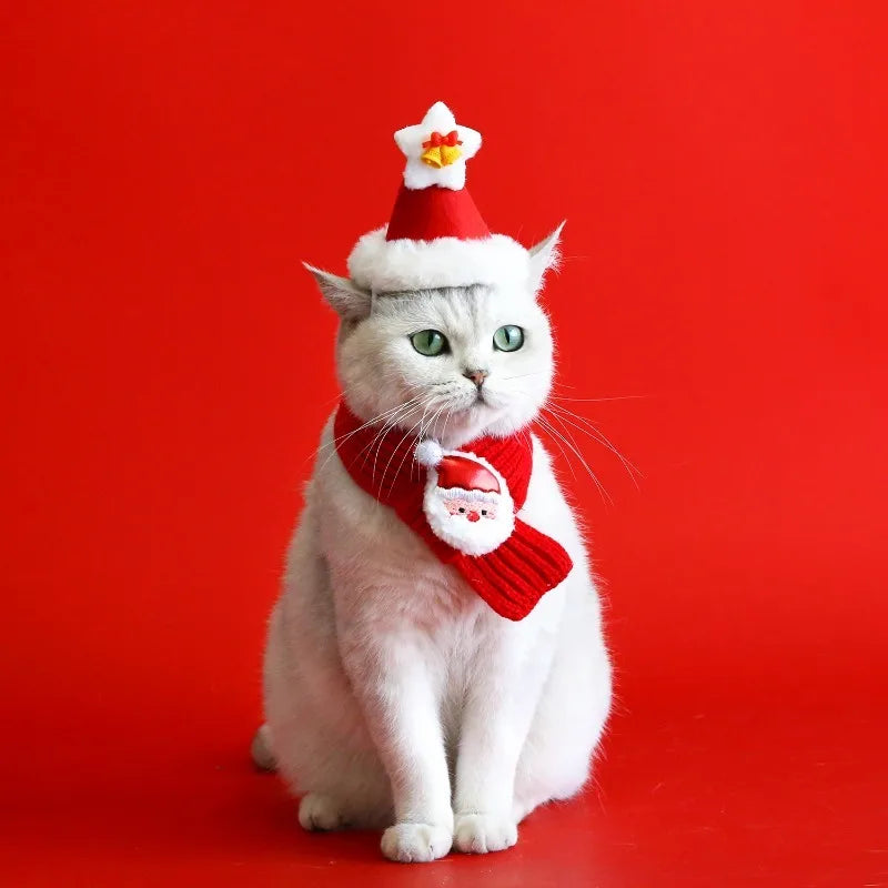 Ensemble de Noël pour chien et chat – Bonnet et écharpe tricotés festifs