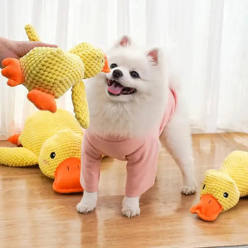 PELUCHE Canard Sonore – Le Compagnon Idéal pour Votre Chien !