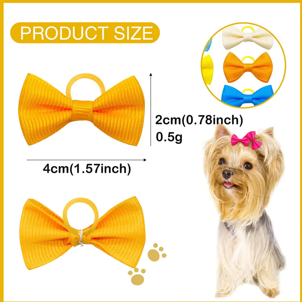 🎀 Nœuds de Toilettage Mignons – Lot de 10 / 20 / 30 pièces 🐶🐾