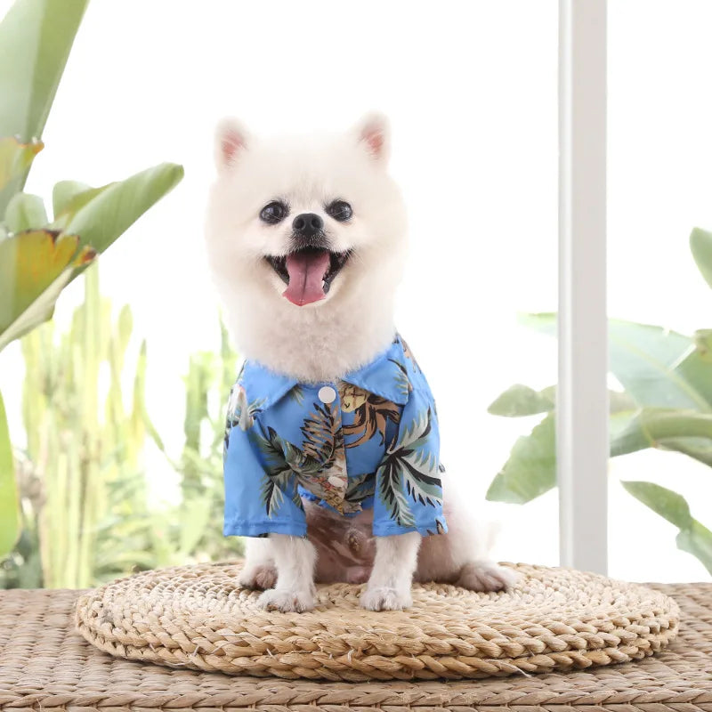 🌺🌴 Chemise Hawaïenne pour Chien et Chat pour une élégance tropicale de vos compagnons à quatre pattes !
