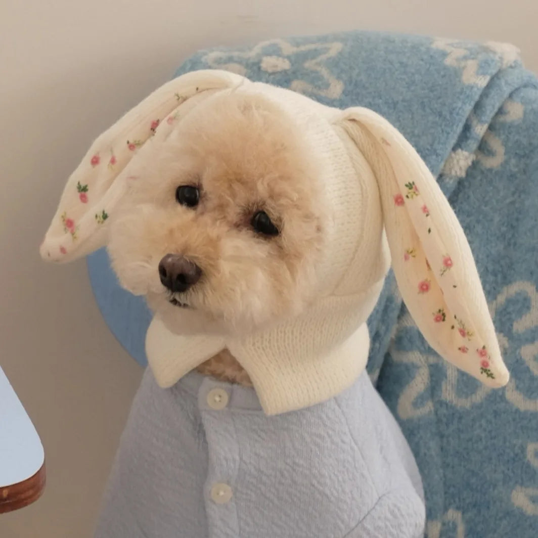 Chapeau à Oreilles de Lapin pour Animal de Compagnie
