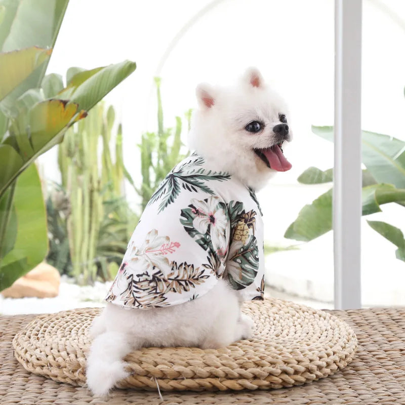 🌺🌴 Chemise Hawaïenne pour Chien et Chat pour une élégance tropicale de vos compagnons à quatre pattes !