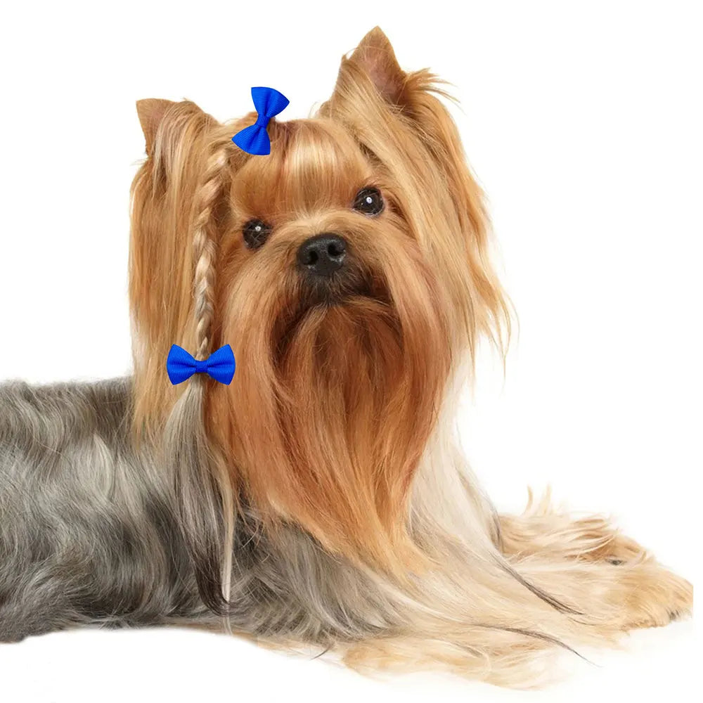🎀 Nœuds de Toilettage Mignons – Lot de 10 / 20 / 30 pièces 🐶🐾