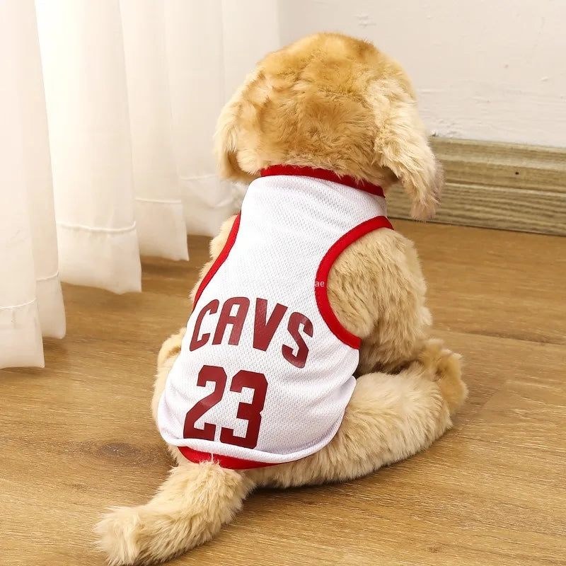 MAILLOT de Basket-Ball en maille respirante pour chien