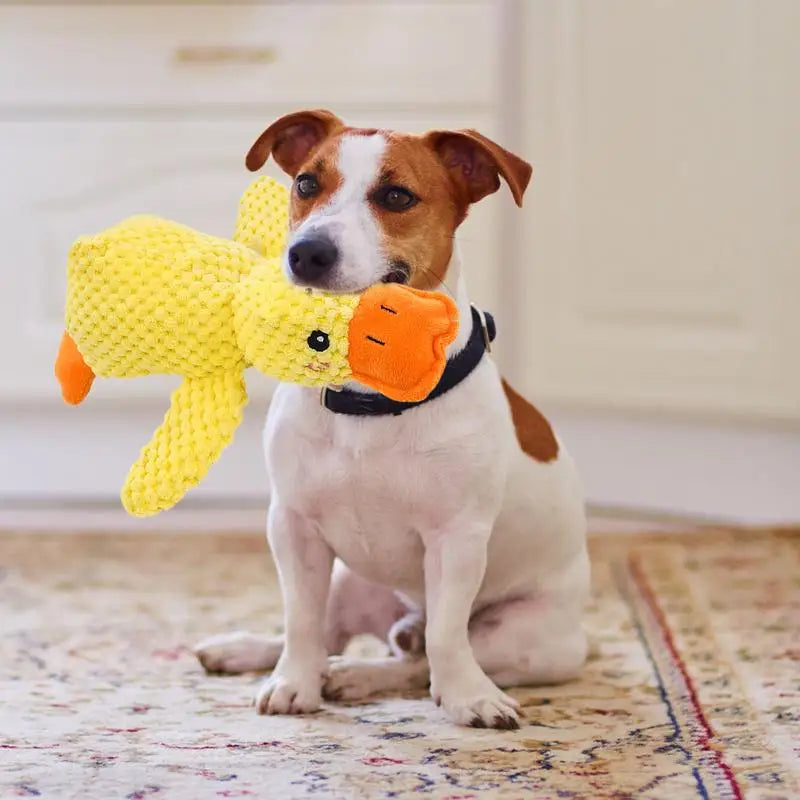 PELUCHE Canard Sonore – Le Compagnon Idéal pour Votre Chien !