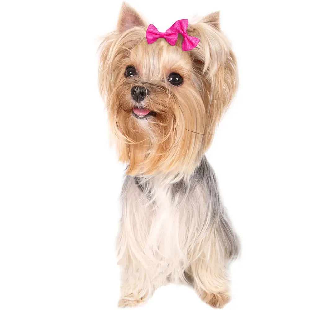🎀 Nœuds de Toilettage Mignons – Lot de 10 / 20 / 30 pièces 🐶🐾