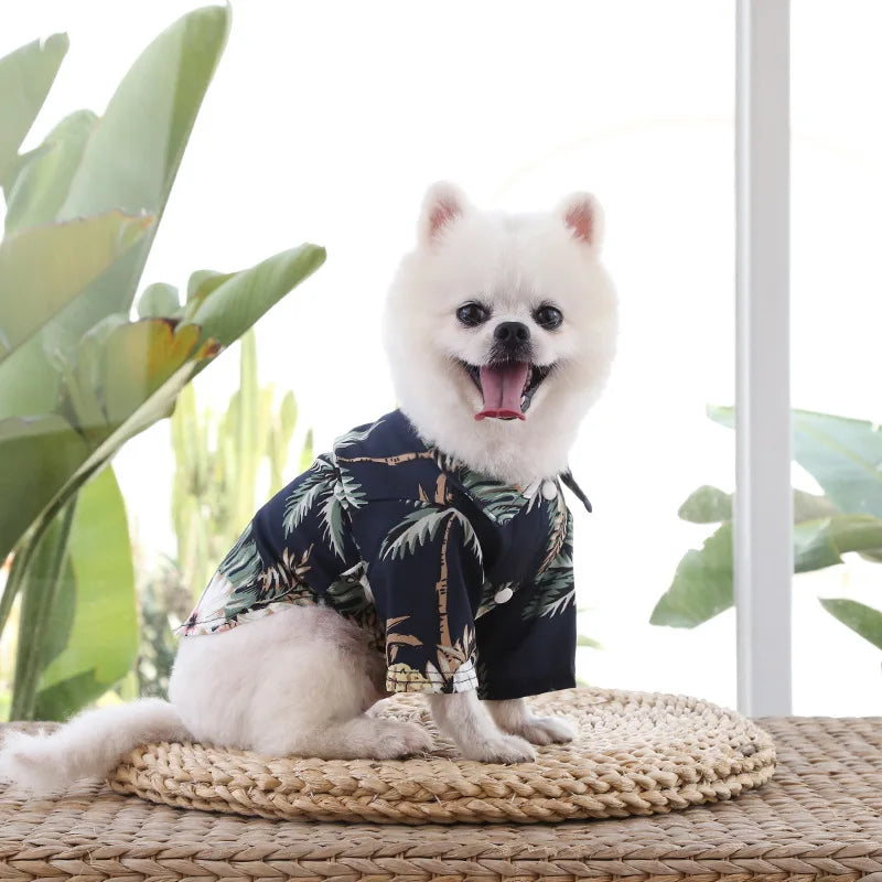 🌺🌴 Chemise Hawaïenne pour Chien et Chat pour une élégance tropicale de vos compagnons à quatre pattes !