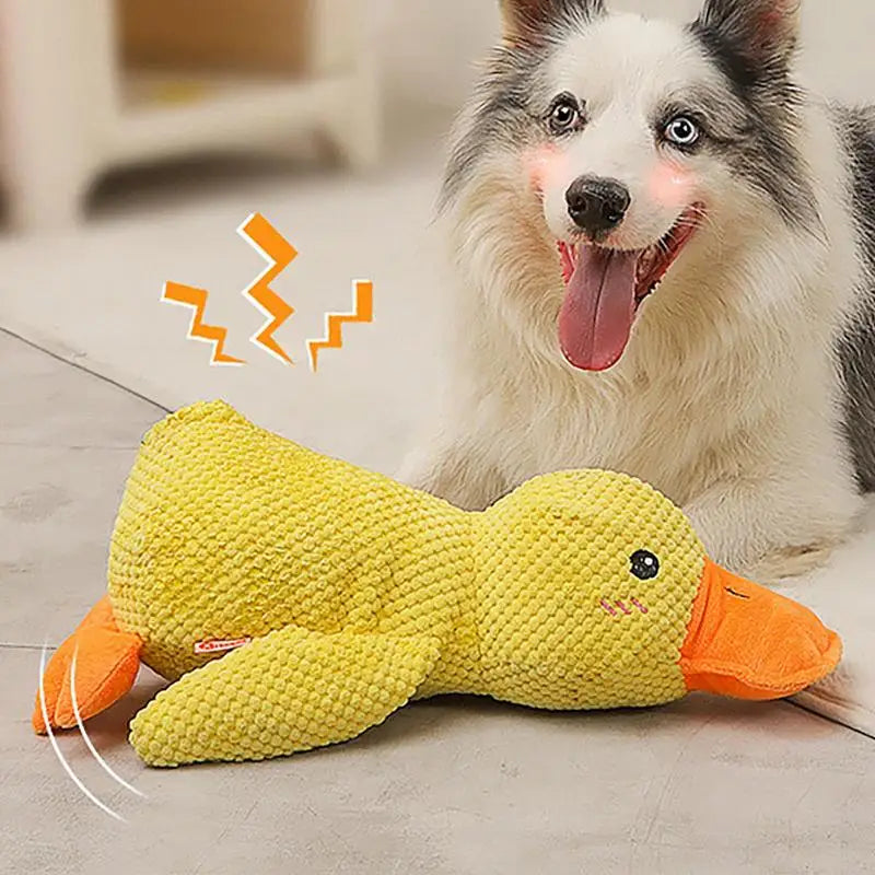 PELUCHE Canard Sonore – Le Compagnon Idéal pour Votre Chien !