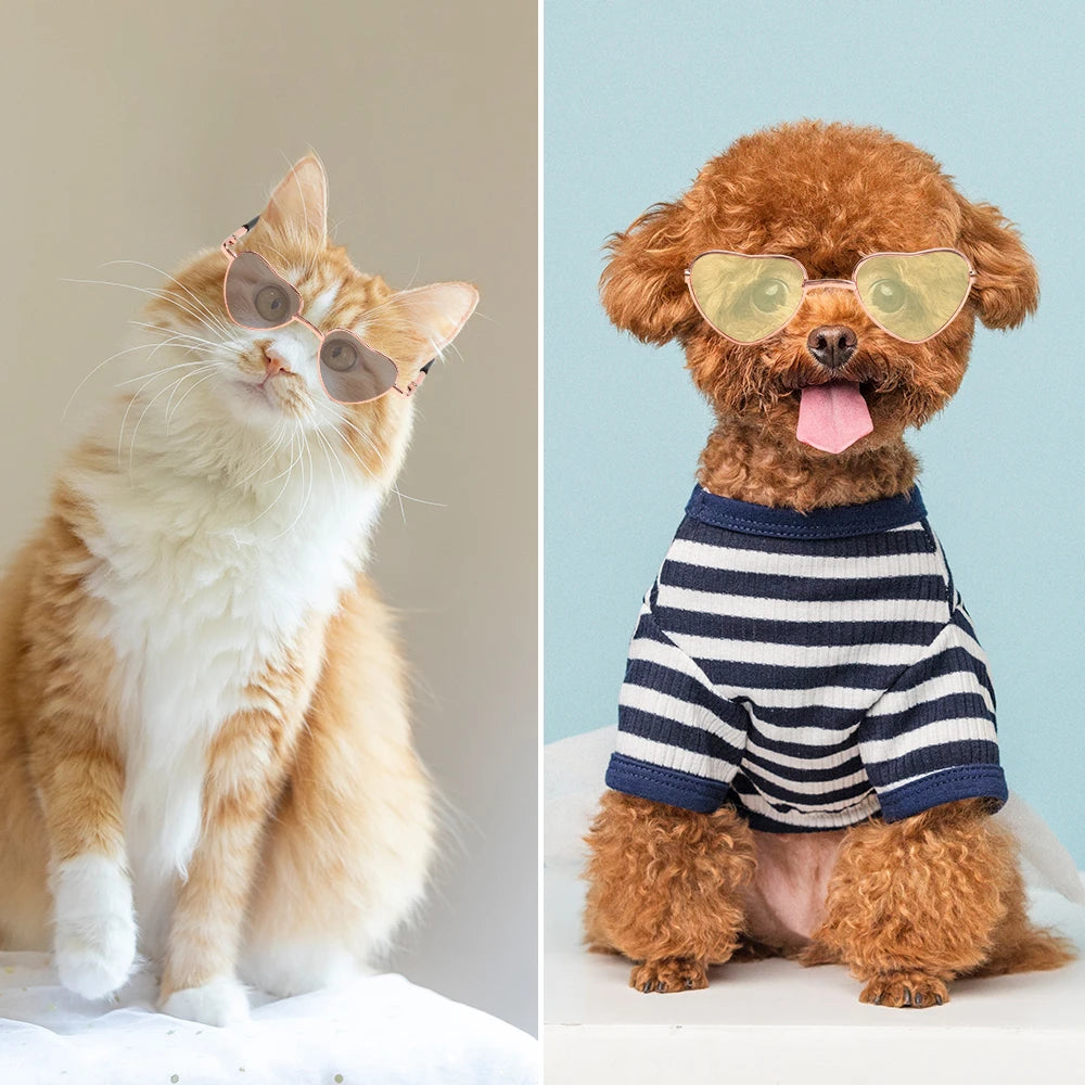 LUNETTES de soleil en forme de cœur pour animaux de compagnie