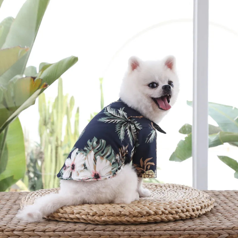 🌺🌴 Chemise Hawaïenne pour Chien et Chat pour une élégance tropicale de vos compagnons à quatre pattes !