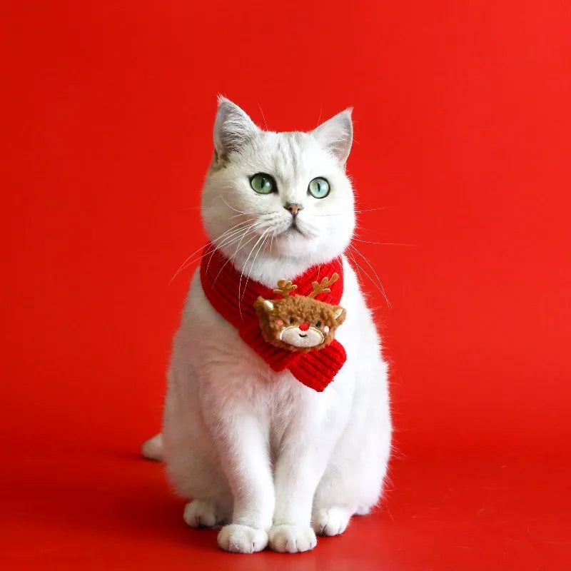Ensemble de Noël pour chien et chat – Bonnet et écharpe tricotés festifs