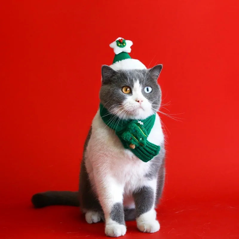 Ensemble de Noël pour chien et chat – Bonnet et écharpe tricotés festifs