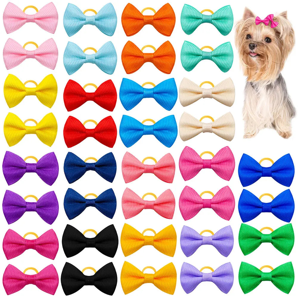 🎀 Nœuds de Toilettage Mignons – Lot de 10 / 20 / 30 pièces 🐶🐾
