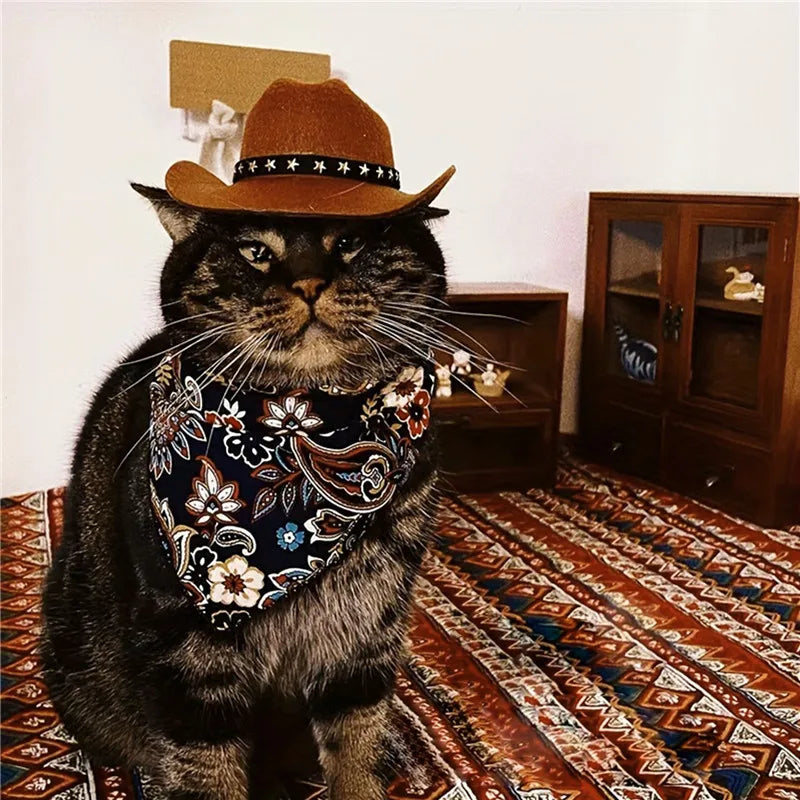 CHAPEAU de Cow-Boy