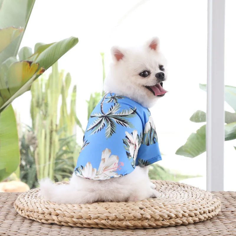 🌺🌴 Chemise Hawaïenne pour Chien et Chat pour une élégance tropicale de vos compagnons à quatre pattes !