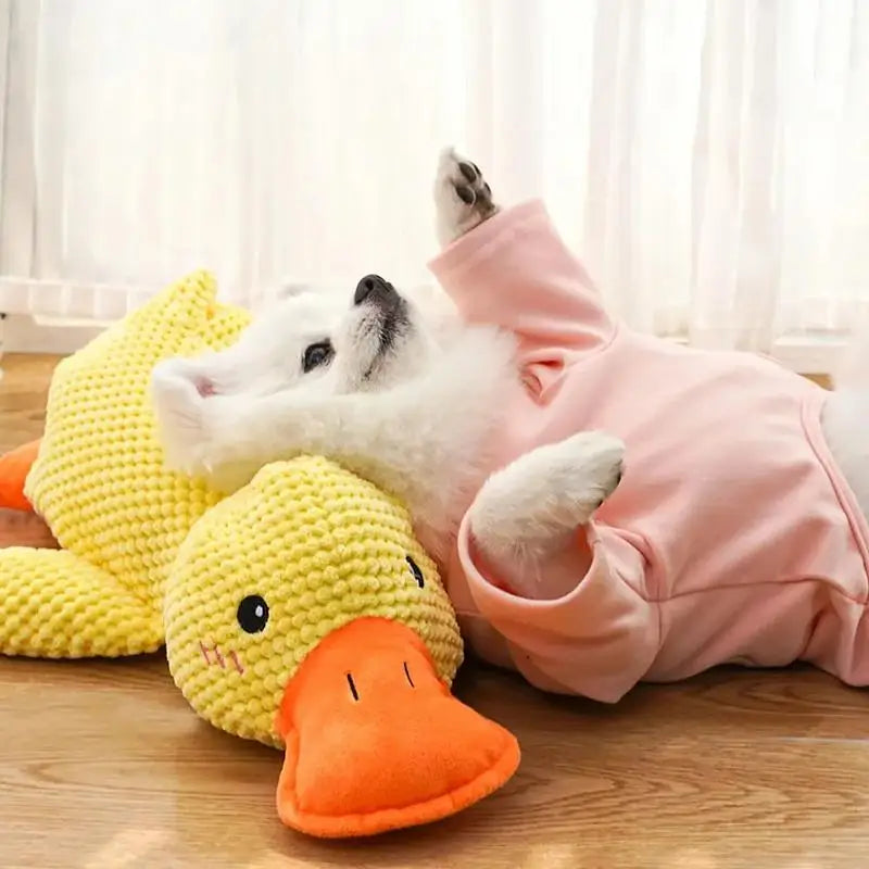 PELUCHE Canard Sonore – Le Compagnon Idéal pour Votre Chien !