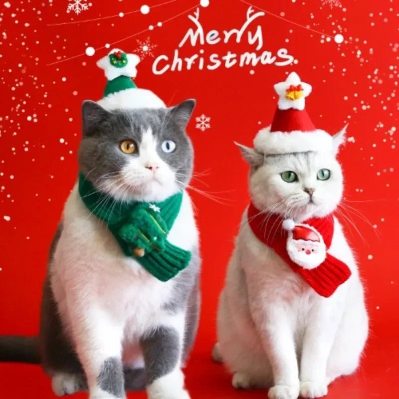 Ensemble de Noël pour chien et chat – Bonnet et écharpe tricotés festifs