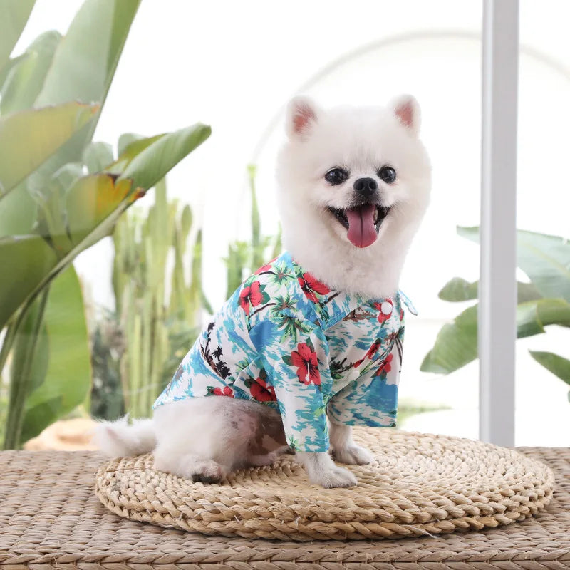 🌺🌴 Chemise Hawaïenne pour Chien et Chat pour une élégance tropicale de vos compagnons à quatre pattes !
