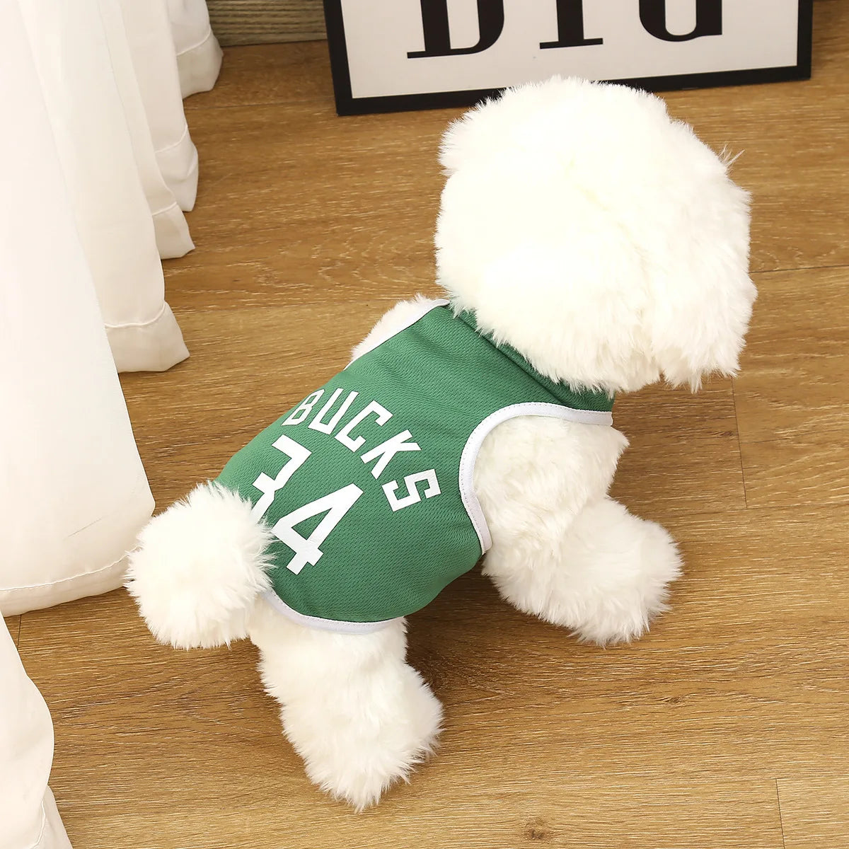 MAILLOT de Basket-Ball en maille respirante pour chien