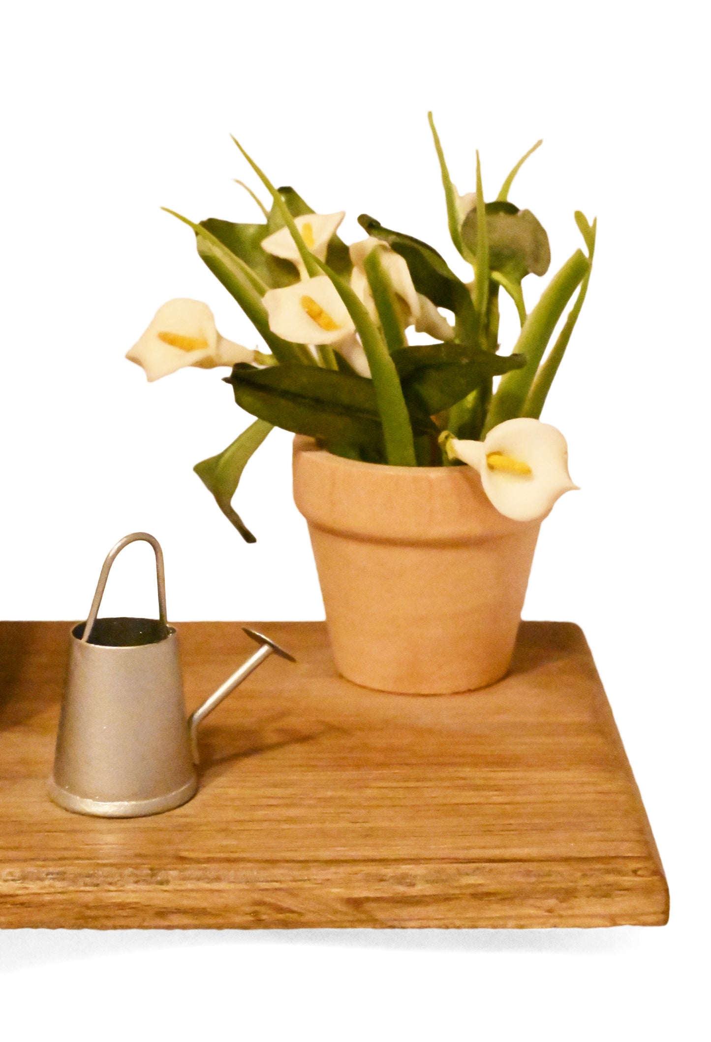 URNE Reliquaire en bois