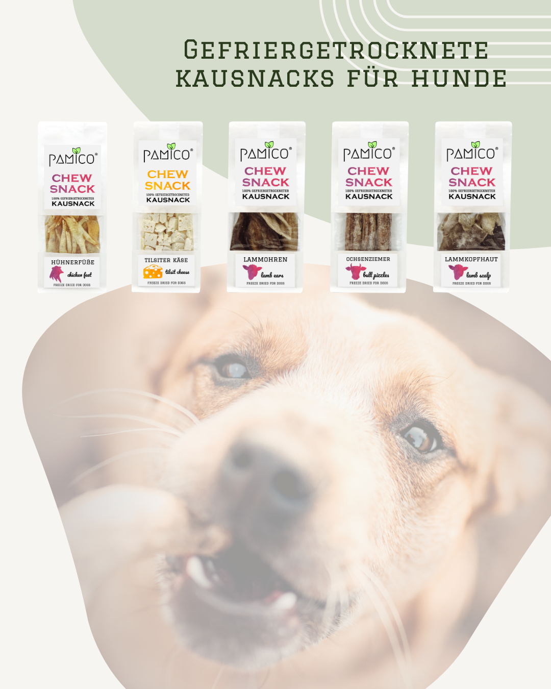 Fromage lyophilisé riche en protéines pour chiens