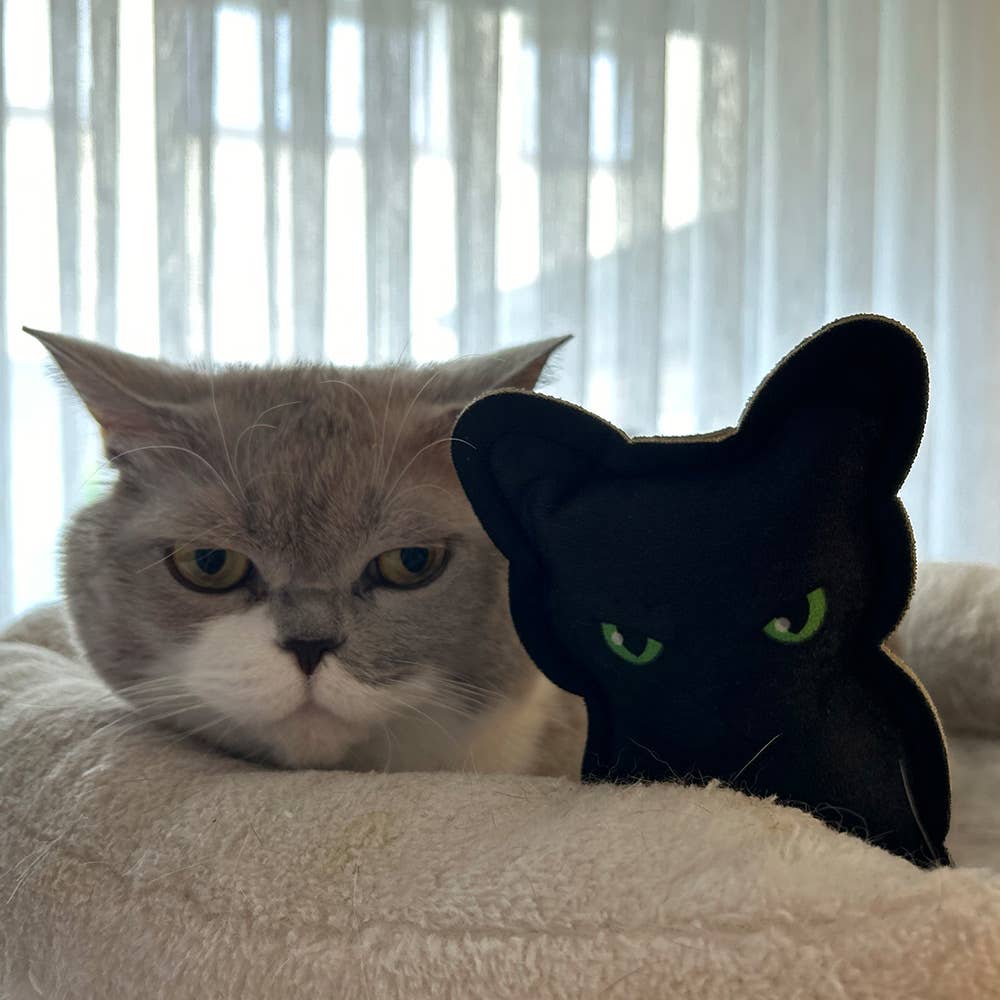 Coussin HERBE A CHAT - Chat noir