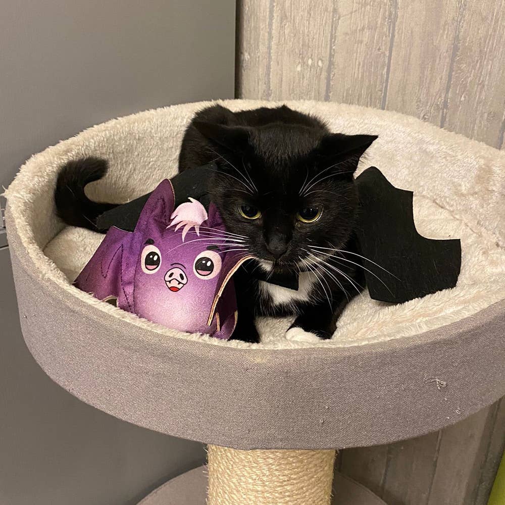 Coussin chauve-souris HERBE A CHAT