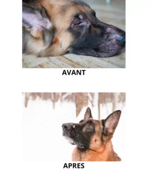 đŸ ComplĂ©ment Alimentaire â Peau & Allergies