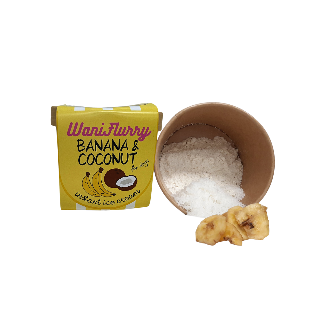 🍦 Crème Glacée à la Noix de Coco et Banane pour Chien – Un moment givré de pur bonheur ! ❄️🐶