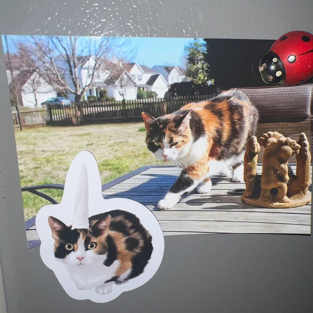 MAGNET pour frigo CHAT