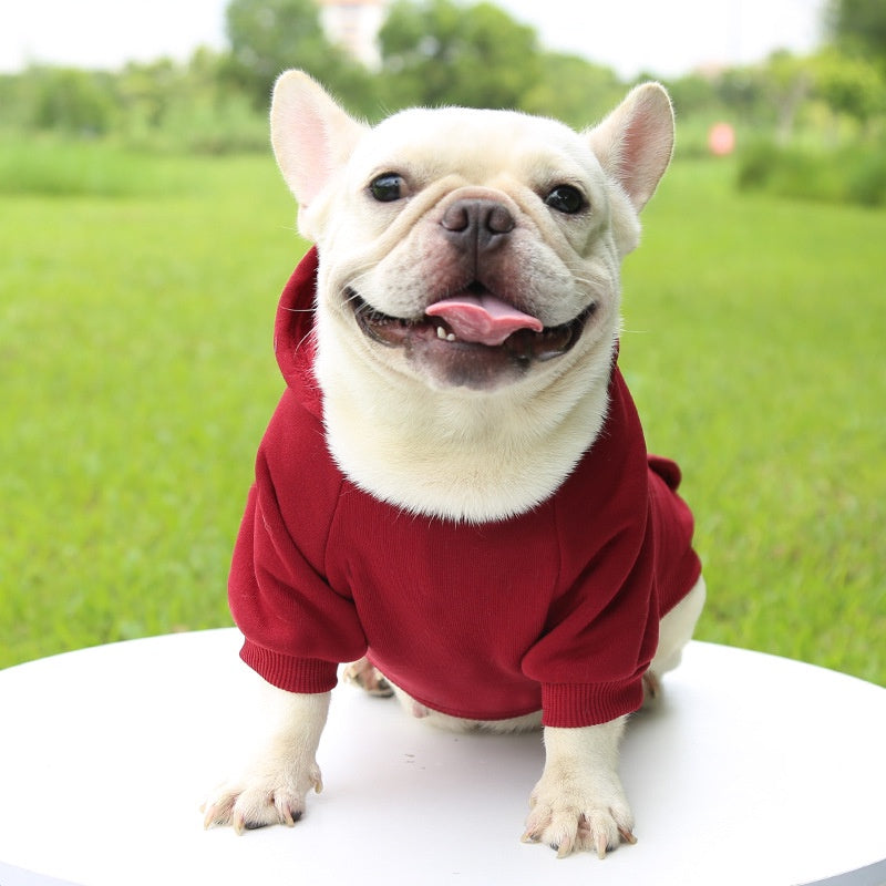 SWEAT à capuche pour chien, petit et moyen